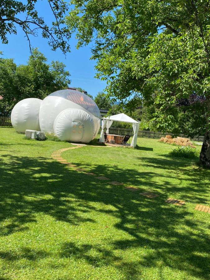 Bubble Tent Hotel Weyregg Εξωτερικό φωτογραφία